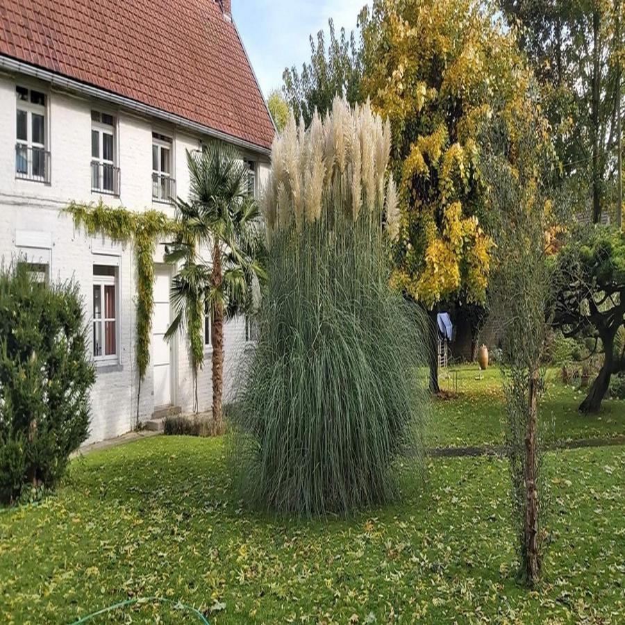 Gite La Riviera Wargnies-le-Grand Eksteriør bilde